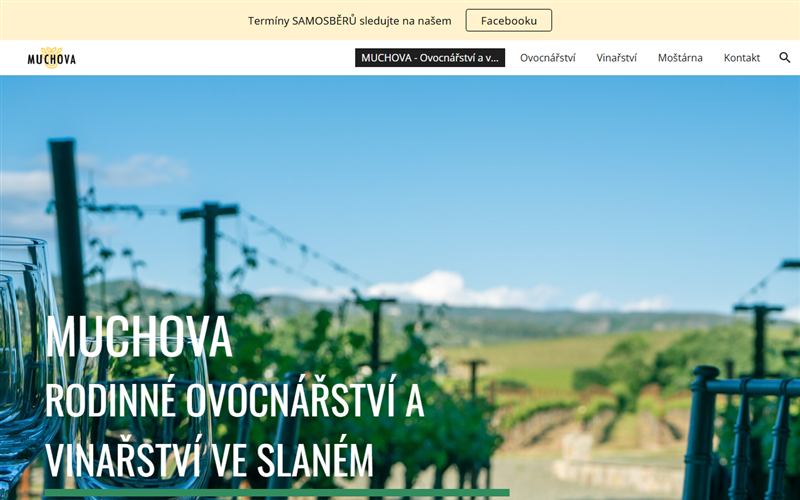 Náhled webu MUCHOVA — Ovocnářství a vinařství